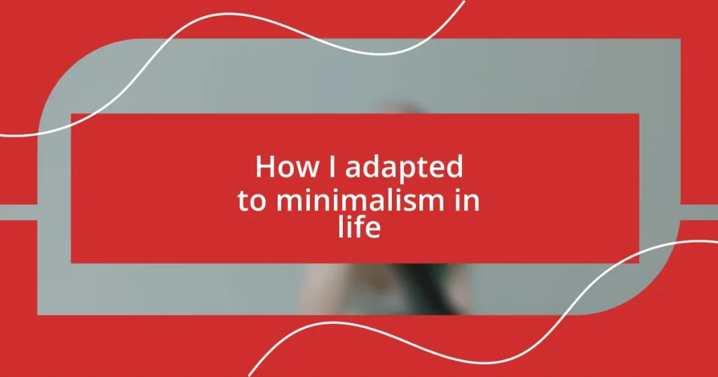 How I adapted to minimalism in life