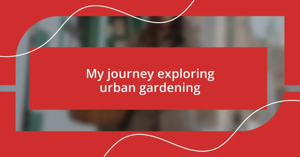 My journey exploring urban gardening