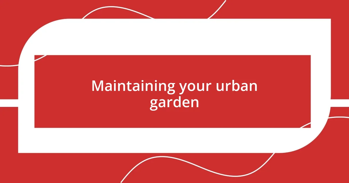 Maintaining your urban garden